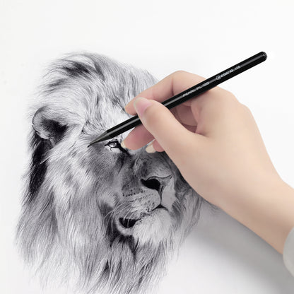 ESENG® Graphitstifte Set